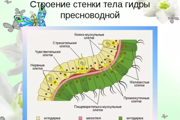 Кракен маркет даркнет только через тор скачать