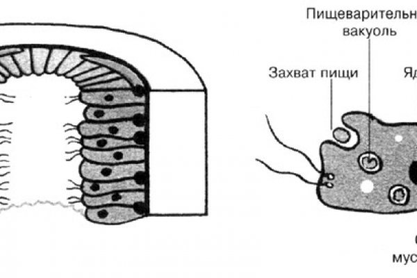 Кракен ориг ссылка