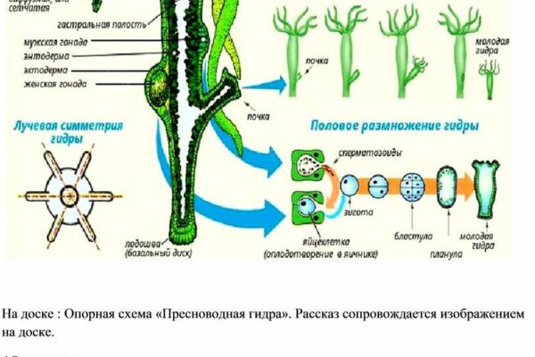 Официальный сайт кракен kraken