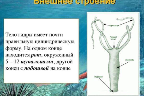 Что случилось с кракеном маркетплейс