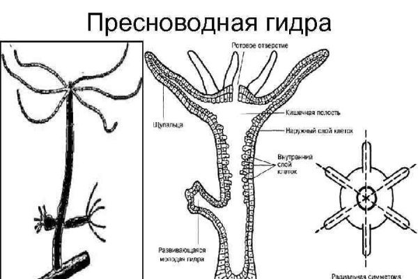 Кракен маркетплейс актуальные ссылки